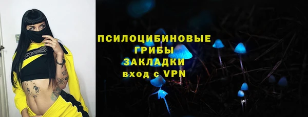 круглые Корсаков