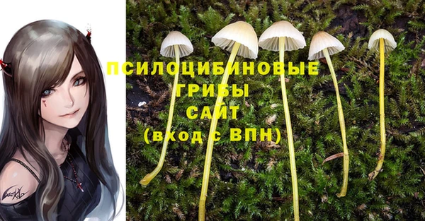 гашик Костерёво