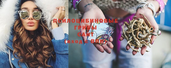 круглые Корсаков