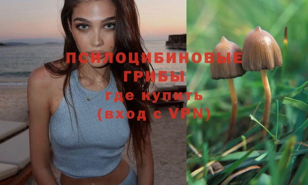 круглые Корсаков