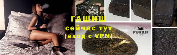 гашик Костерёво