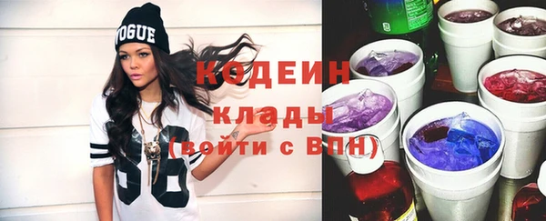 гашик Костерёво