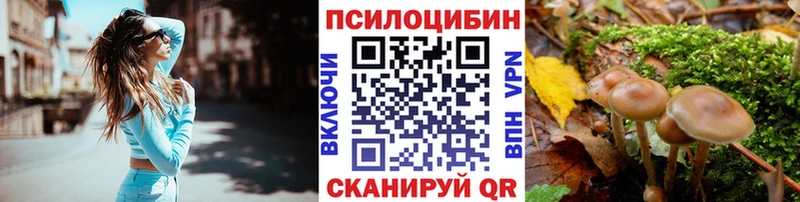 Галлюциногенные грибы Cubensis  Купить закладки  Красково 